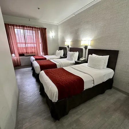 Heritage Hotel New York City-3